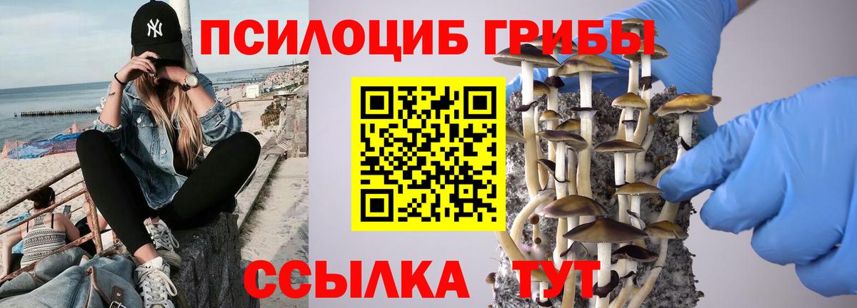 Ишим  Псилоцибиновые грибы ЛСД  Вход с VPN 